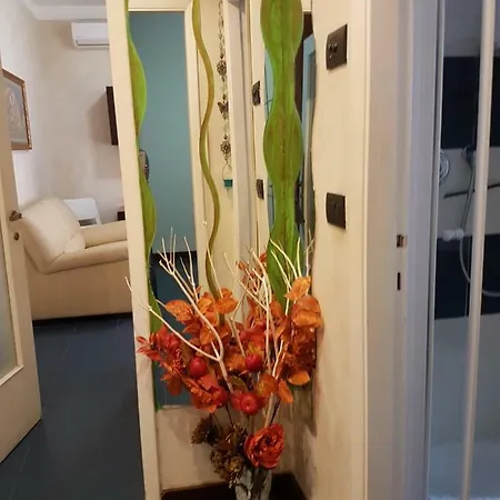 Starlight Apartamento *